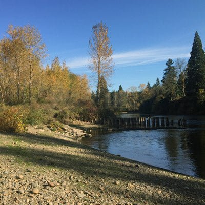 Trip Report: Riverfront Park, Clackamas Oregon - Next Adventure