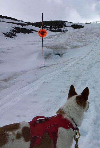 Trip Report: Silcox Hut on Mt. Hood - Next Adventure
