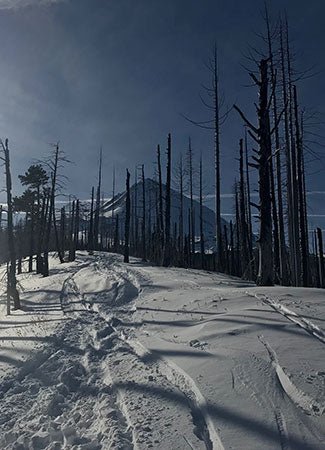 Trip Report: Tilly Jane Snowshoe - Mt Hood - Next Adventure