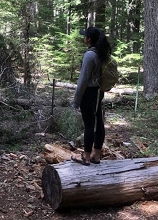 Trip Report: Timothy Lake Trail, Mt. Hood National Forest - Next Adventure