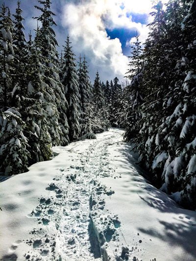 Trip Report: Winter Camping with the NA Outdoor School - Next Adventure