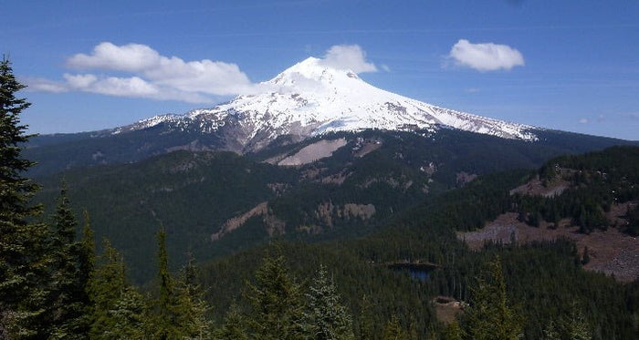 Trip Report: Zigzag Mountain Trail - Next Adventure