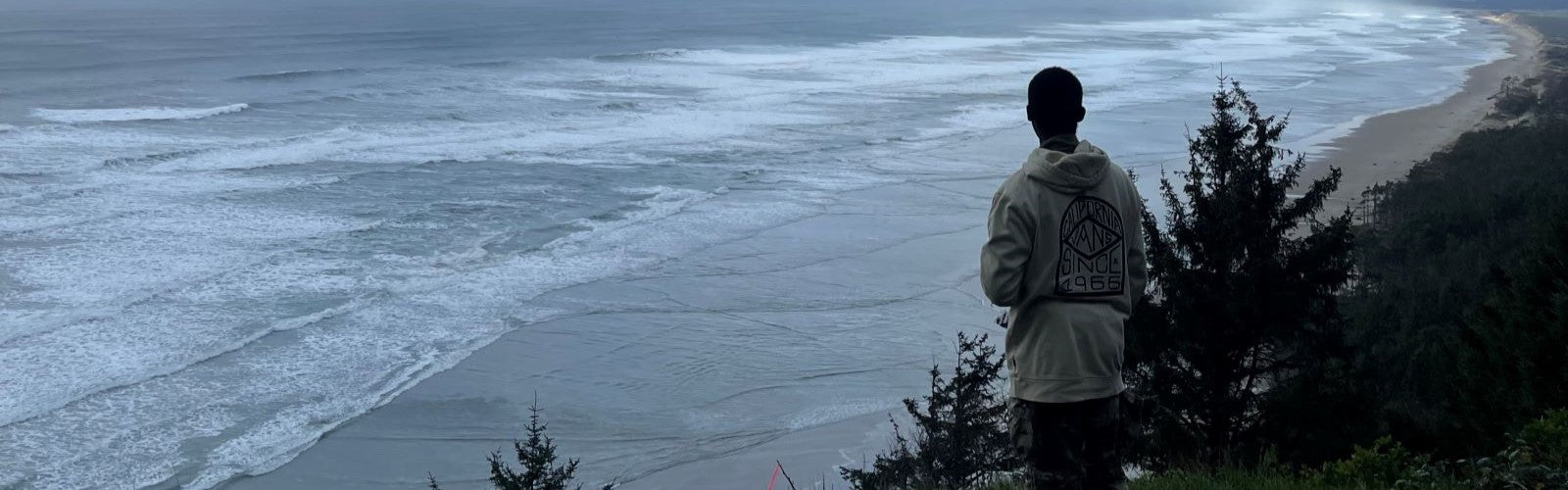 Uncover the Magic of Cape Lookout Trail: A Hidden Gem on the Oregon Coast - Next Adventure