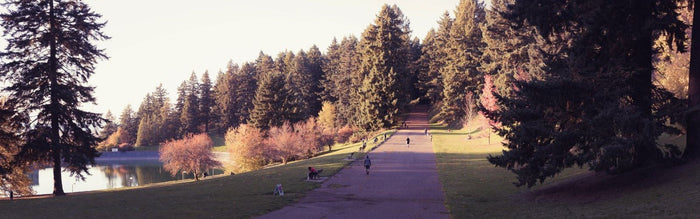 Urban Adventures: Discover the best Portland Micro-Hikes - Next Adventure