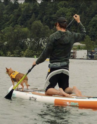 Video How To: Choosing The Right SUP Paddle - Next Adventure