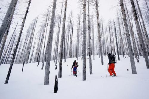 Winter Recreation in the Pacific Northwest - Next Adventure