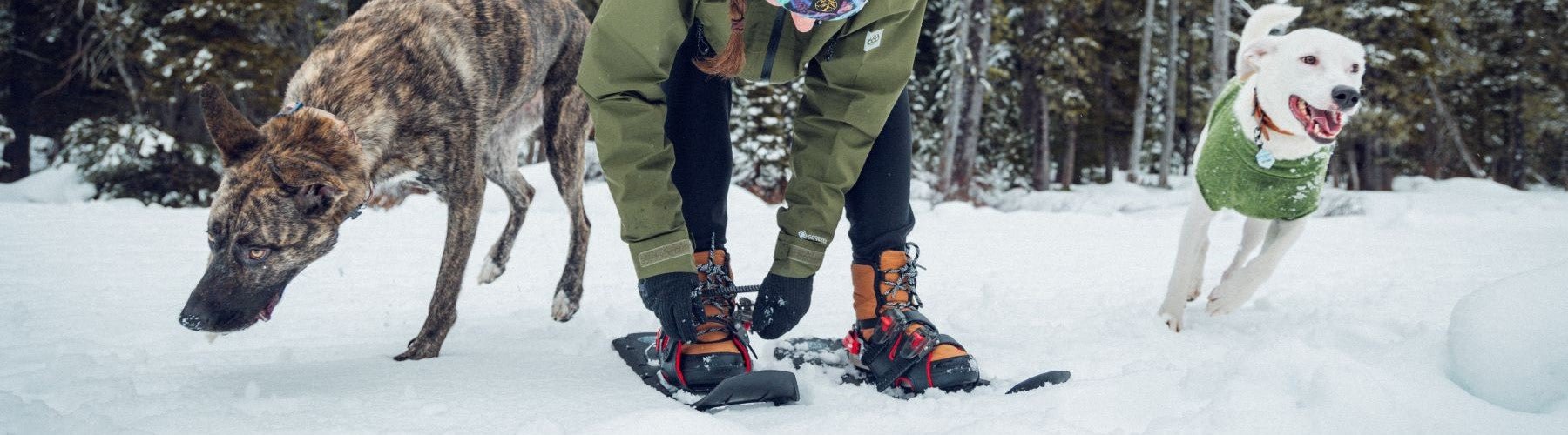 Winter Sports Gear Comparison: Snowshoes vs. Cross-Country Skis