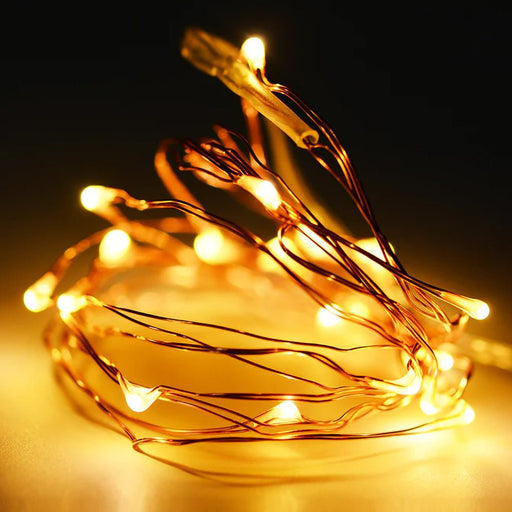 Perfect Holiday 20 LED COPPER STRING LIGHTS - BATTERY POWERED - Next Adventure