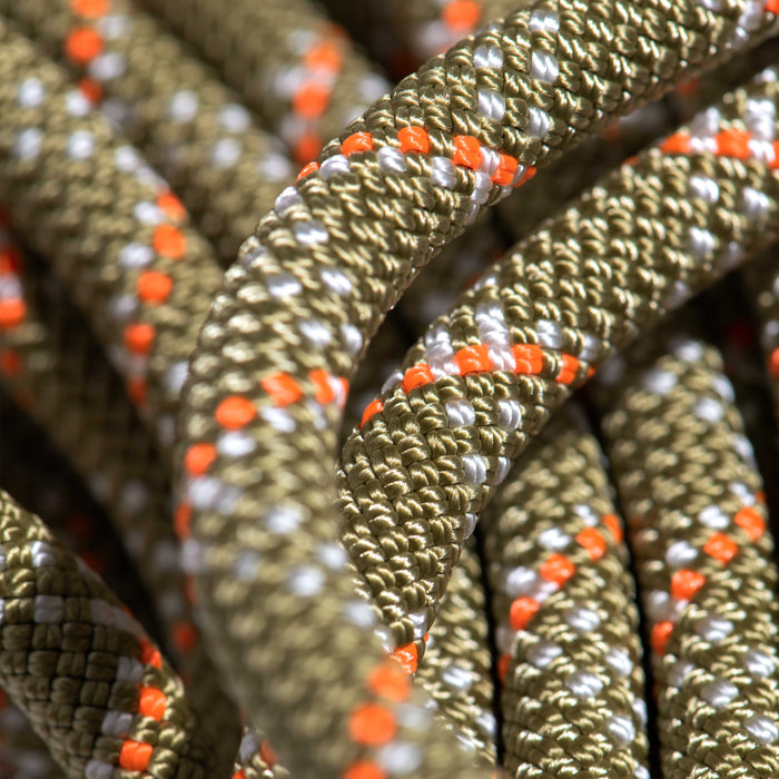 Mammut 9.5 Gym Classic Rope, coiled detail