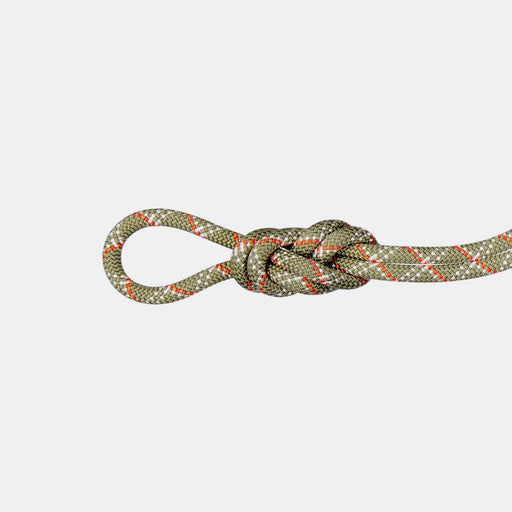Mammut 9.5 Gym Classic Rope, Boa-white