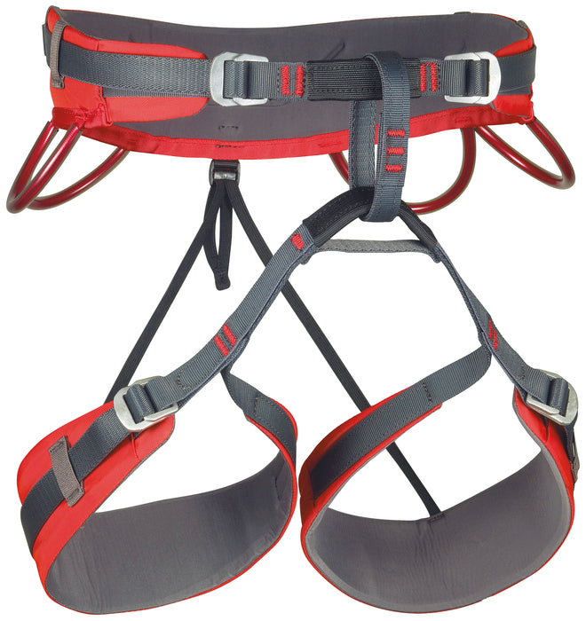 CAMP Energy CR 4 harness, grey and red, back