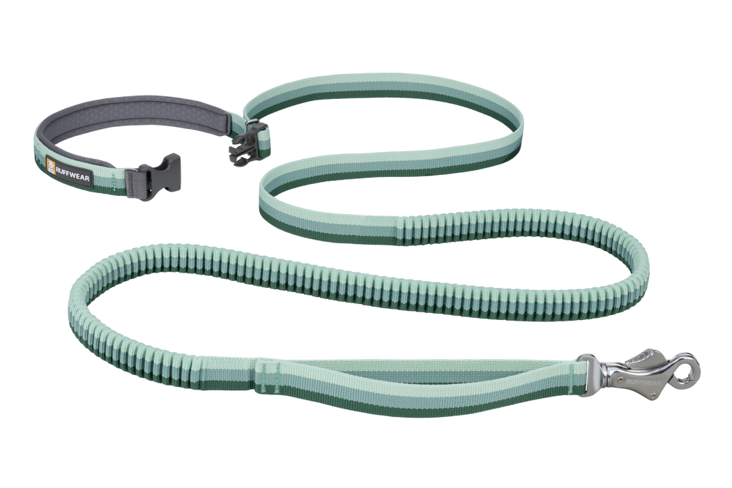 Roamer Leash open for waist wear