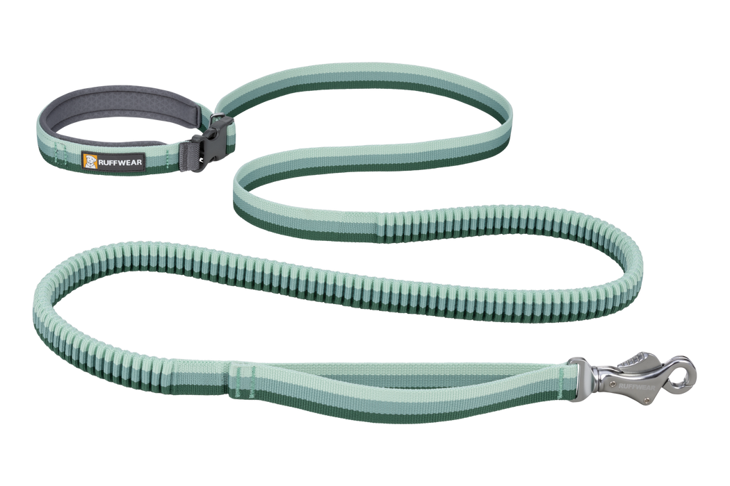 Ruffwear Roamer Leash in River Rock Green
