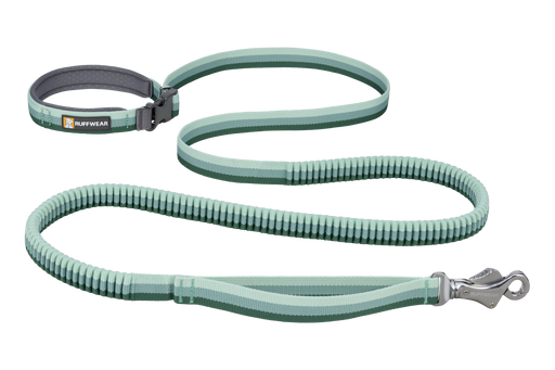 Ruffwear Roamer Leash in River Rock Green