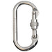 Cypher Oval Screw Gate carabiner, bright, front