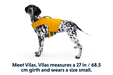 Dog wearing the Float Coat