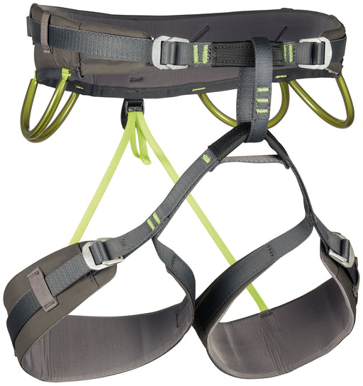CAMP Energy CR 4 harness, grey and green, back
