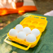 Coghlan's egg carrier in use at a campsite