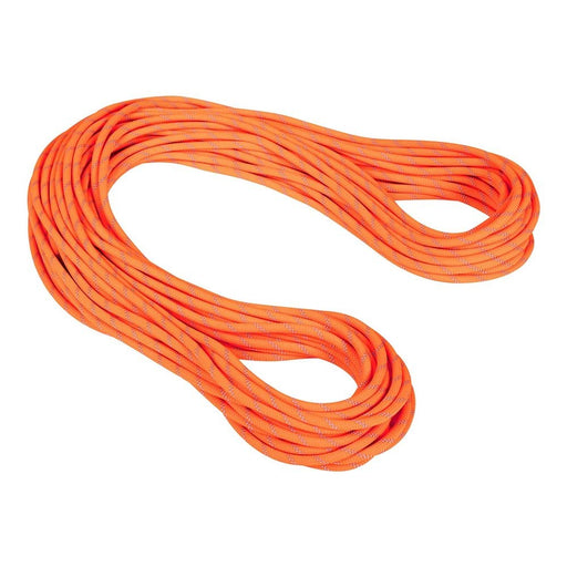 Mammut 9.5 CRAG DRY CLIMBING ROPE - Next Adventure