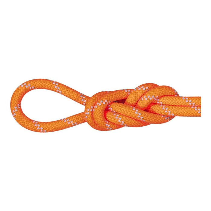 Mammut 9.5 CRAG DRY CLIMBING ROPE - Next Adventure