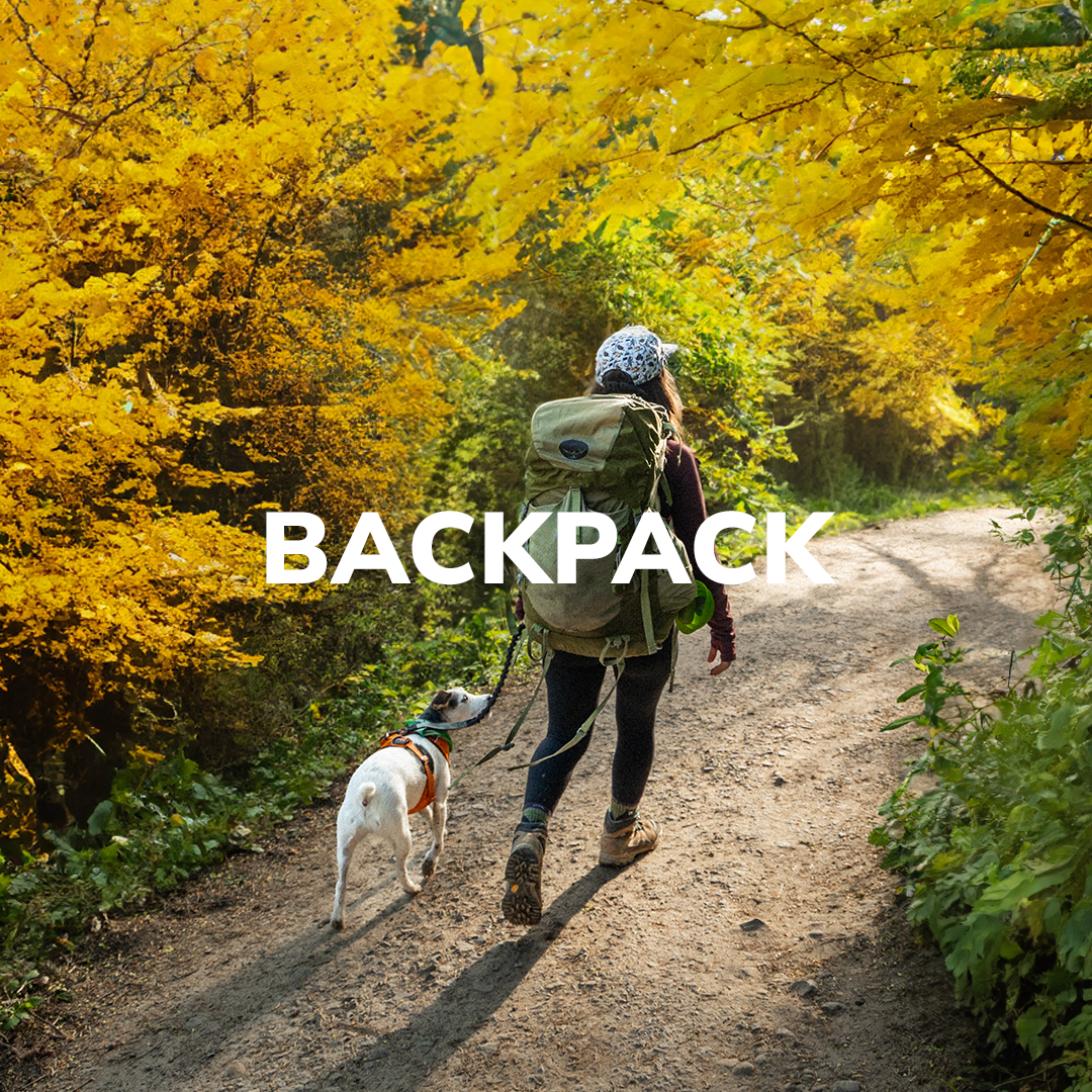 Fall Backpack Collection Hero Image of girl hiking with her dog on a trail covered in golden leaves—Shop Now