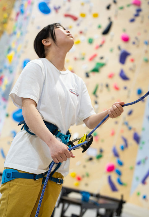 Petzl GRIGRI + in use