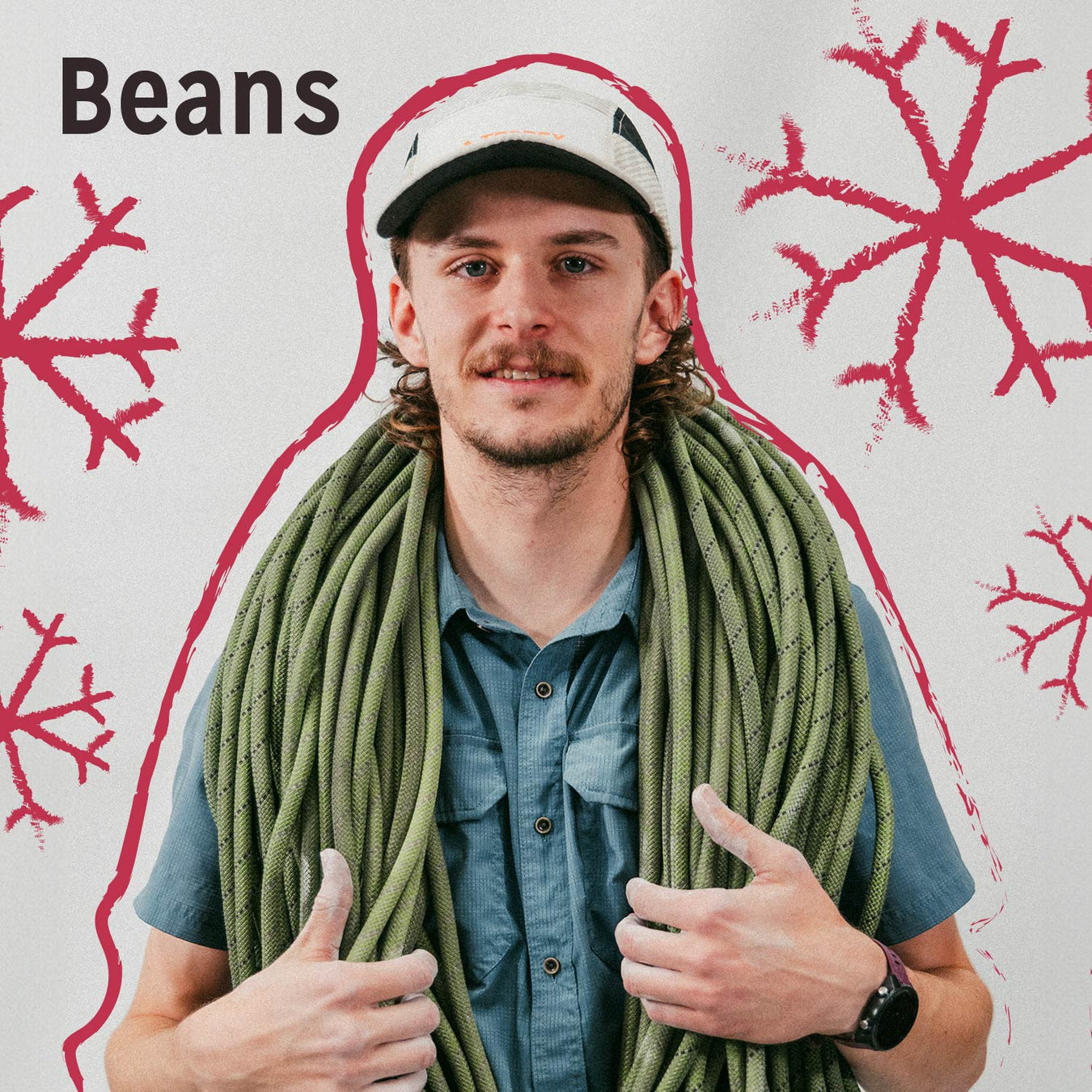 Picture of staff member Beans decorated with marks and outlines with snowflakes. Links to Staff Picks