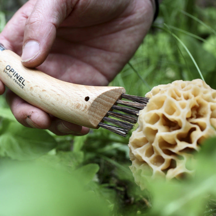 Opinel No.08 mushroom knife with curved blade and boar bristle brush, view 5