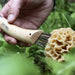 Opinel No.08 mushroom knife with curved blade and boar bristle brush, view 5