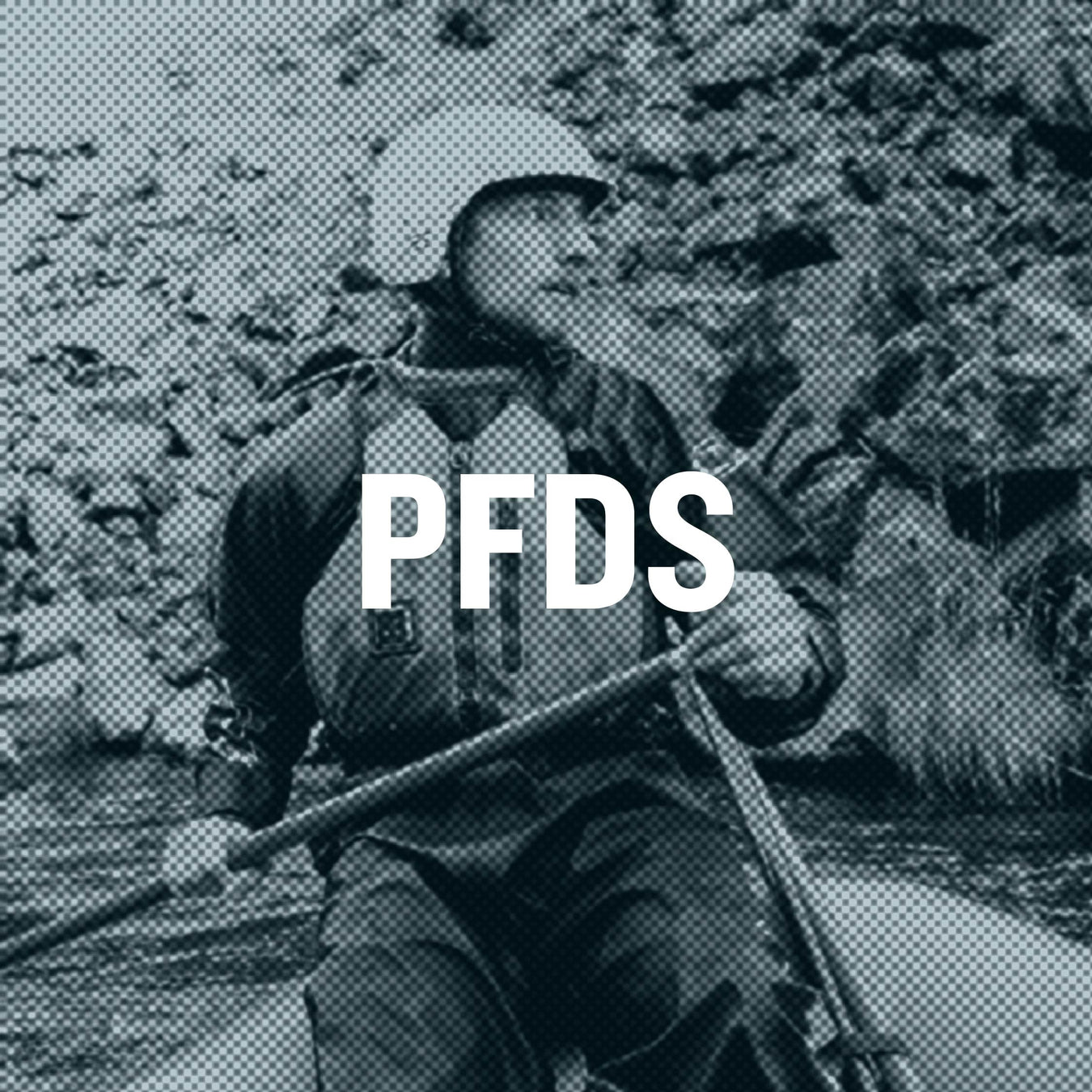 PFDS- Shop Now