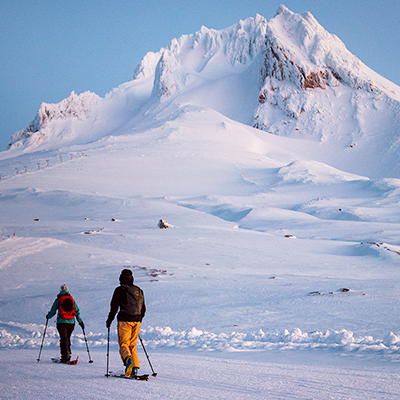 Collection of Cross Country Skiing