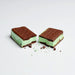 BackPackers Pantry Astro Mint Chocolate Chip Ice Cream Sandwich - Next Adventure