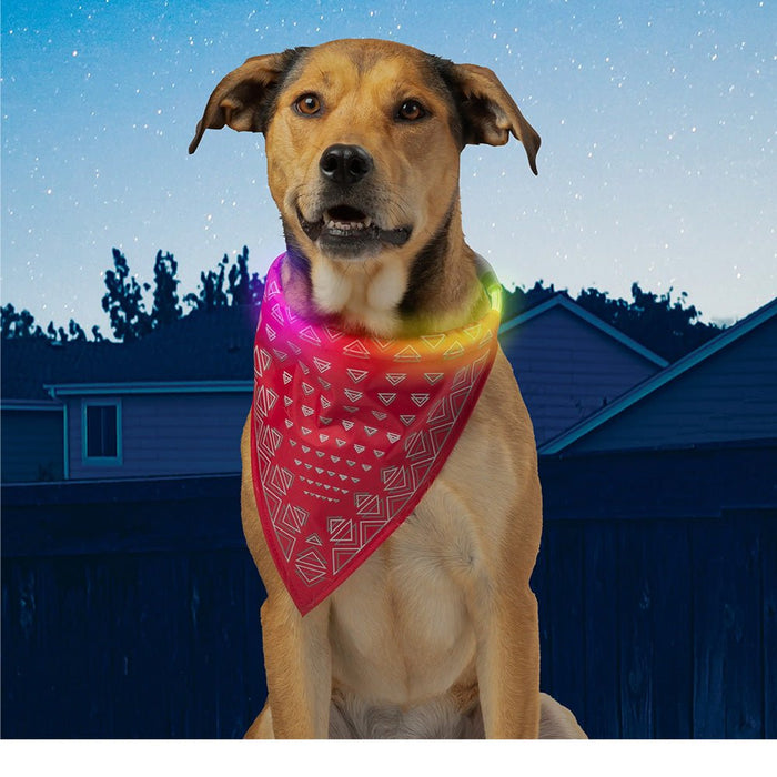 Nite Ize BANDANA LED SAFETY NECKLACE - Next Adventure