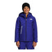 North Face BOYS FREEDOM INSULATED - KIDS' SNOW JACKETS - Next Adventure