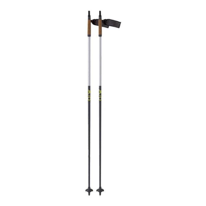 Fischer DIAMOND FX JR SKI POLES - 2022 - Next Adventure