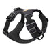 Ruffwear FRONT RANGE HARNESS - Next Adventure