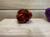 Cat Crinkle Toy