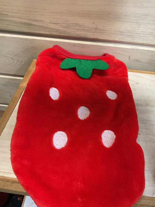 Costume
