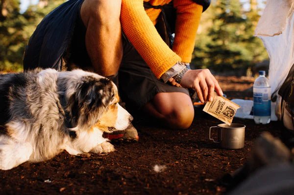 Farm To Summit LATTE - WHOLE MILK - Next Adventure