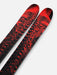 Line Poisson skis view 4