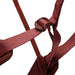 Black Diamond MOMENTUM - WOMEN'S HARNESS - Next Adventure