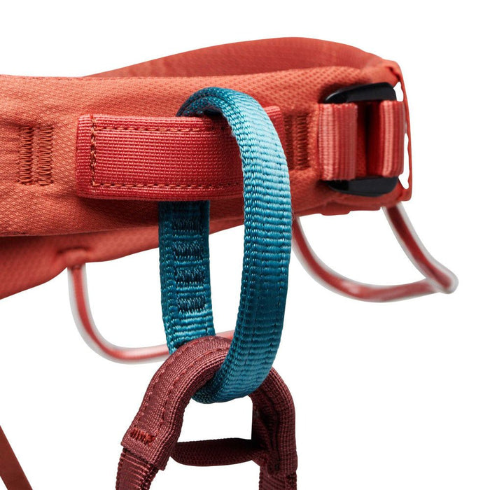 Black Diamond MOMENTUM - WOMEN'S HARNESS - Next Adventure