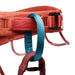 Black Diamond MOMENTUM - WOMEN'S HARNESS - Next Adventure
