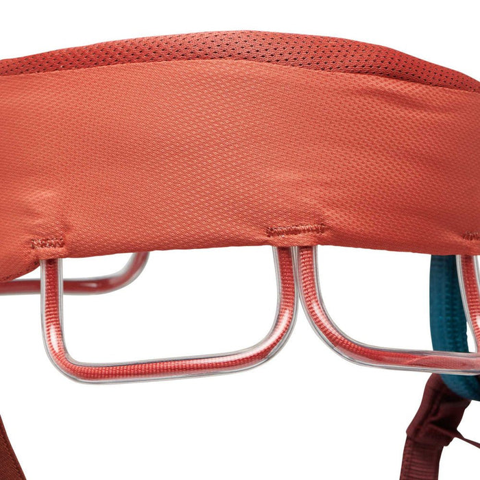 Black Diamond MOMENTUM - WOMEN'S HARNESS - Next Adventure