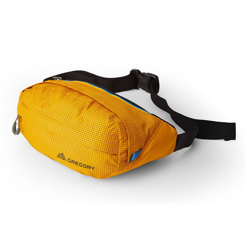 Gregory NANO WAISTPACK - Next Adventure