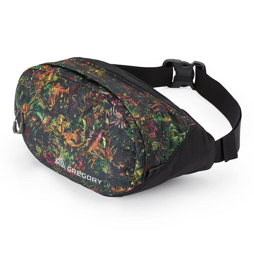 Gregory NANO WAISTPACK - Next Adventure