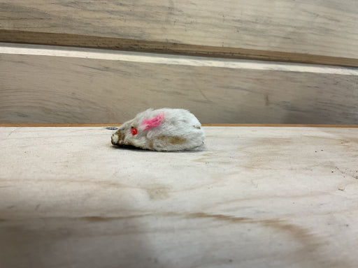 Cat Toy