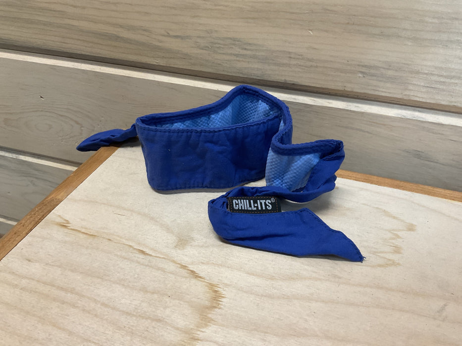 Cooling Towel