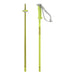 Salomon POLAR SKI POLES - 2025 - Next Adventure