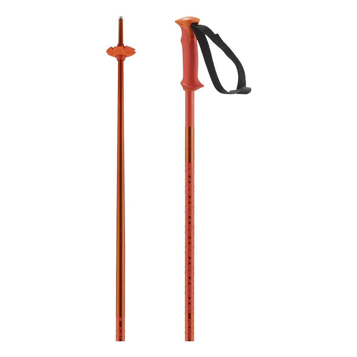 Salomon POLAR SKI POLES - 2025 - Next Adventure